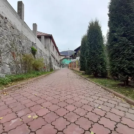 Pensiunea Lucy Guest house