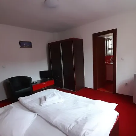 Guest house Pensiunea Lucy *