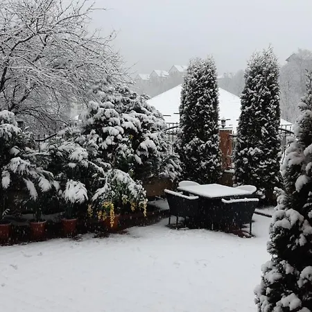 Pensiunea Lucy Guest house Sinaia
