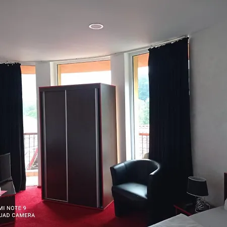 Pensiunea Lucy Guest house *