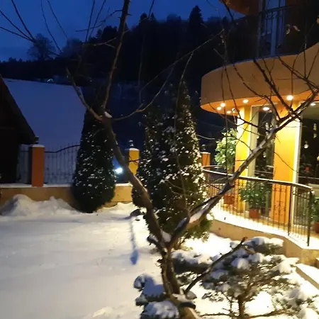 Pensiunea Lucy Guest house *